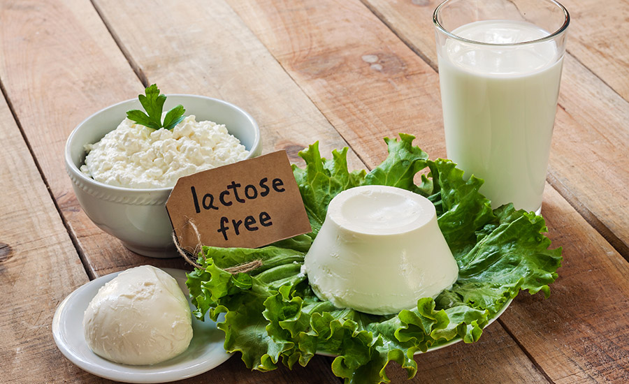 LACTOSE FREE