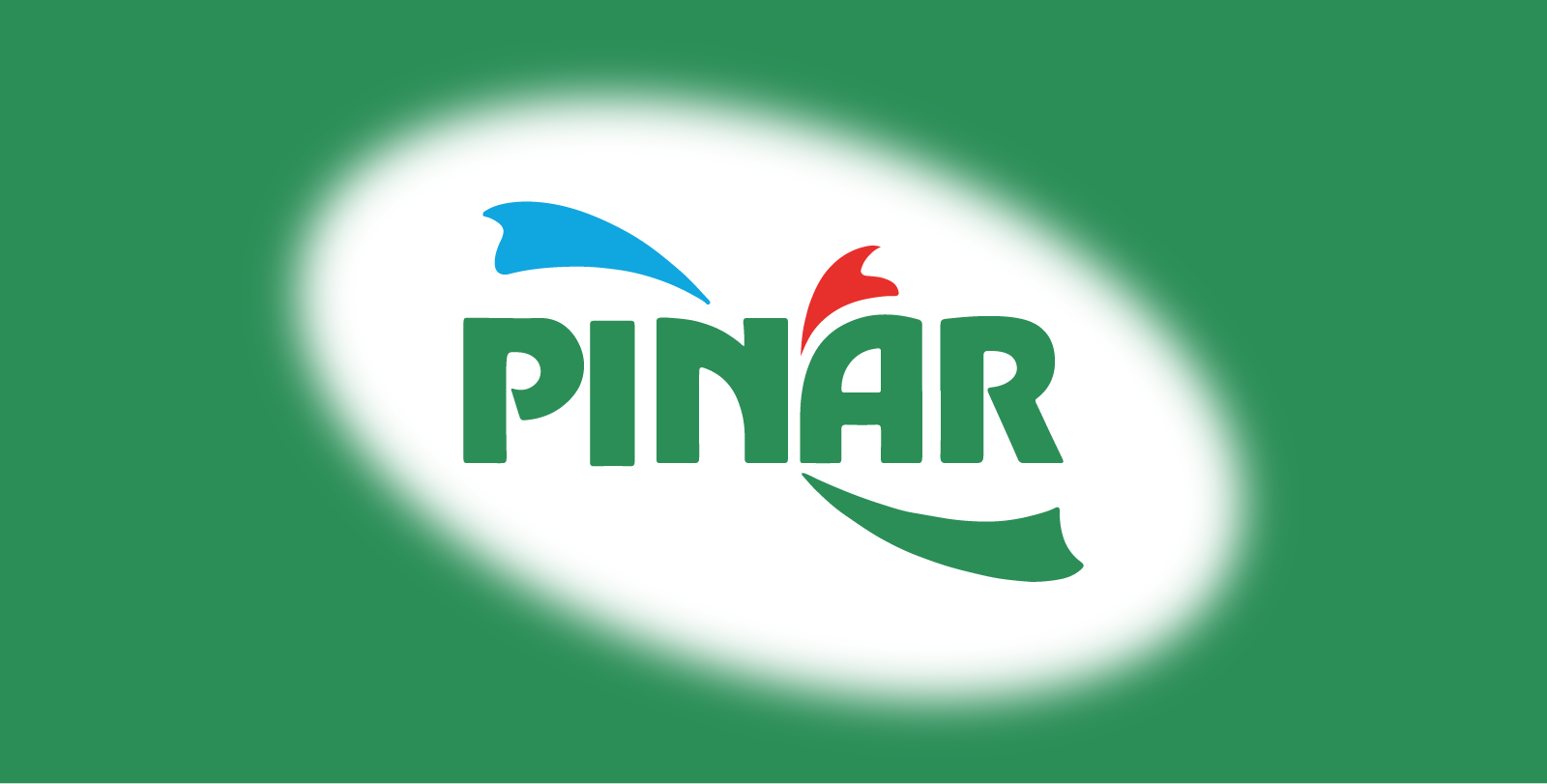 Pinar - პარტნიორის ისტორია (EN)